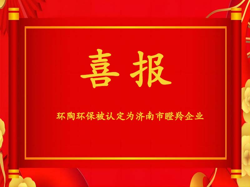 济南市瞪羚企业.png
